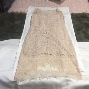 Beautiful blush lace Free People Dress!